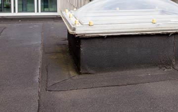 disadvantages of Litton Cheney flat roofs
