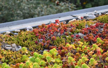 the cost of Litton Cheney green roof installation