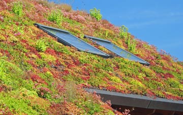 Litton Cheney living roof systems