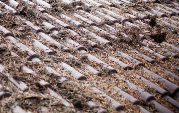 Litton Cheney roof cleaning companies