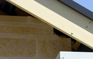 soffit repair Litton Cheney