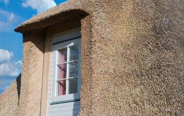 Litton Cheney thatch roof disadvantages