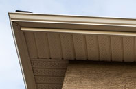 free Litton Cheney fascia quotes