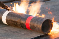 free Litton Cheney re-felting quotes