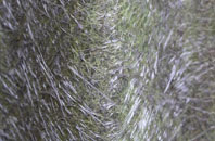 Litton Cheney fibreglass roof work